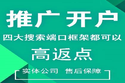 某知名品牌网络推广竞价全解析